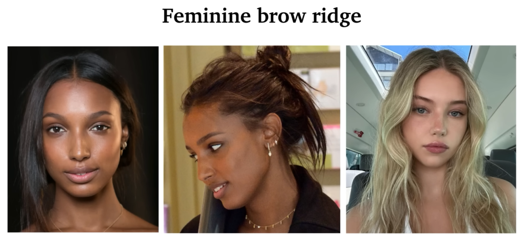 Feminine brow ridge